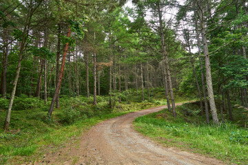 長野県伊那市　町道高嶺線
