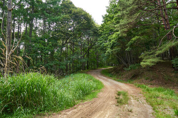 長野県伊那市　町道高嶺線
