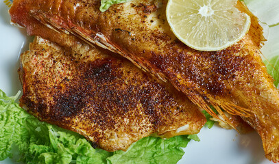 Argentine Pacu a las brasash © Fanfo