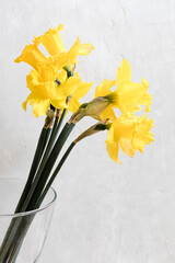 Bouquet of narcissus flowers in a vase in front of a light background.