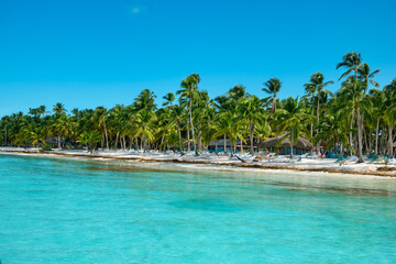 Fototapeta premium Beach on Saona Island in the Caribbean Sea.