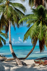 Beautiful seascape. Saona Island and the Caribbean Sea. - obrazy, fototapety, plakaty