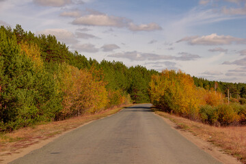 Autumn road to Mylnikovo. The road to the village of Mylnikovo in the Shadrinsky district of the Kurgan region of Russia.