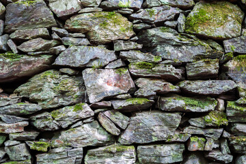 Detail of a wall of wet stones with parts of moss