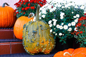 Photo of halloween decorated front door with various size and shape pumpkins and beautiful red and...