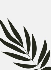 Silhouettes of plants and leaves. Abstract black and white minimalistic poster.