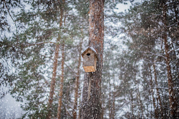 A wooden birdhouse hanging on a pine tree in the forest on snowy day