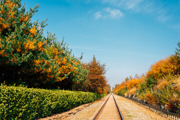 Naklejka na ściany i meble Autumn of Hangdong Railroad in Seoul, Korea