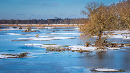 Die Oder im Winter