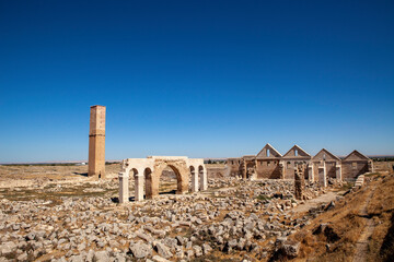 ruins of the roman forum