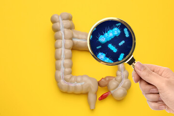 Microorganisms research. Woman with magnifying glass and anatomical model of intestine on yellow...
