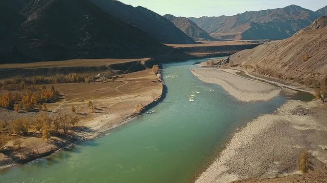 Altai Republic, Siberia, Russia. The two rivers Biya and Katun join into one river. Landscape with autumn wildlife: huge mountains, stone coast, yellow trees with golden foliage, green turquoise river