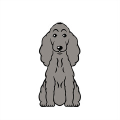 Cocker Spaniel Gray コッカースパニエル　グレイ