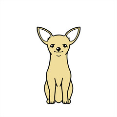 Chihuahua cream　チワワ　クリーム