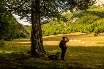 Naklejka na ściany i meble Hiker observes a panoramic view of a meadow under the shade of a beech tree
