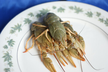 live crayfish. green crayfish on a plate