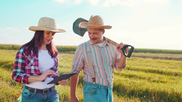 Farmers using tablet in wheat field. Female and male scientists working in field with agriculture technology. Woman touching tablet pc in wheat stalks while walking with her man colleague