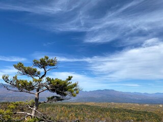 秋の鬼押出し園