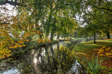 Colorful autumn scene with the sun shining through the trees on both sides of a pond in The Park in Rotterdam, The Netherlands
