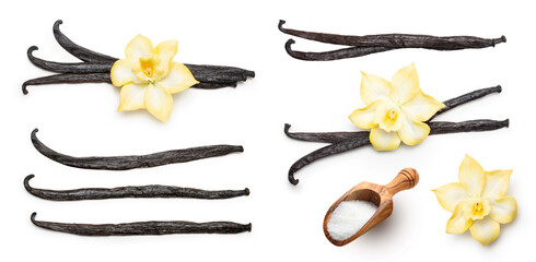 Vanilla pods and orchid flower isolated on white background. Vanilla sticks closeup.