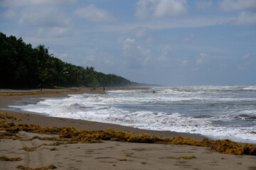 Costa Rica Tortuguero National Park - Parque Nacional Tortuguero - Coastline Tortuguero Village