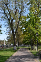 Fototapeta premium photo priroda