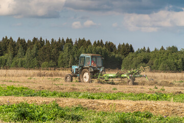 Russia. Gatchinsky district of the Leningrad region. August 28, 2021. The tractor puts hay on the field in the tracks for rolling rolls.