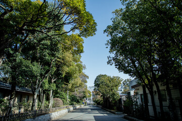 道路