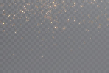 Vector light with starry sparkle. Magic effect. Light effects background.