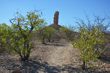 Vingerklippe im Damaraland in Namibia.