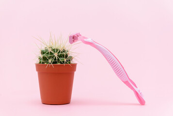 Green cactus in brown pot with pink shaver on pink background