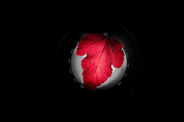 red globe on black background