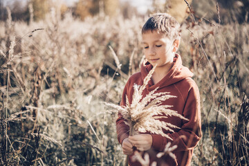 Teenager boy holding bouquet of dry pampas grass in his hand in field of reed. Slow life in...