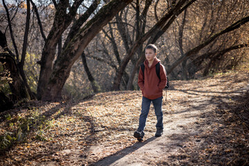 Naklejka premium Teenager boy with backpack walking on path in autumn park. Active lifestyle, Back to school. Student boy in fall forest.