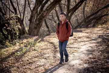 Teenager boy with backpack walking on path in autumn park. Active lifestyle, Back to school. Student boy in fall forest.