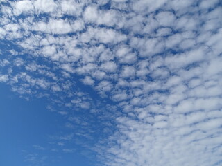 Fototapeta premium 雲