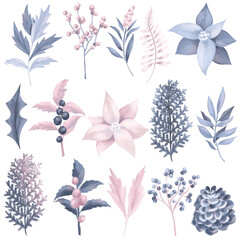 Set of hand drawn winter pastel plants and flowers, isolated illustration on white background