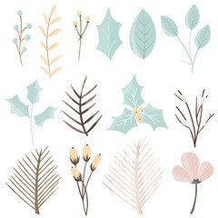 Set of hand drawn winter pastel plants, isolated illustration on white background