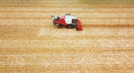 Obraz premium Maishäcksler bei der Ernte auf einem Acker, Landwirtschaft aus der Vogelperspektive
