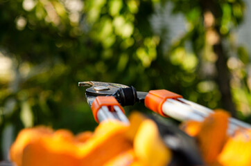 Naklejka premium gardening secateurs for cutting branches on white background