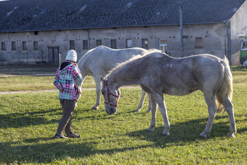 Fototapeta premium Pferde und eine Frau neben dem Pferdestall