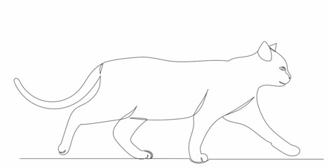 cat drawing by continuous line isolated
