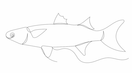 fish drawing by continuous line isolated, vector