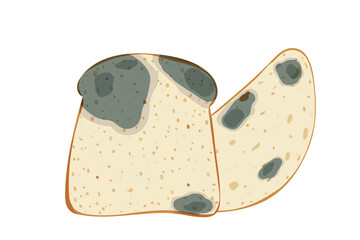 The mold on the loaf and toast bread, set isolated on white background