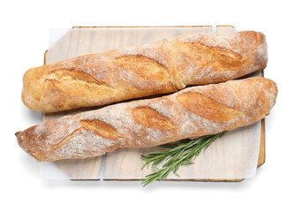 Crispy French baguettes with rosemary on white background, top view. Fresh bread
