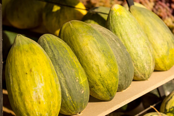 Juicy Asian melon. Beautiful tasty vegetable. Vegetables in the market.