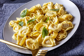 tortelloni with cheese filling on a plate