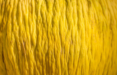 Juicy Asian melon peel close-up as background. Beautiful tasty vegetable. Vegetables on the market. Background and texture close up melon peel.