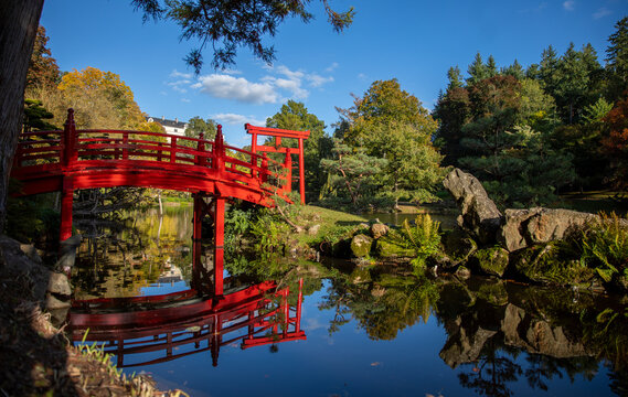 Parc oriental de Maul&eacute;vrier en Anjou, France.