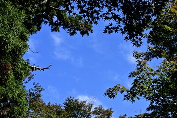 青空